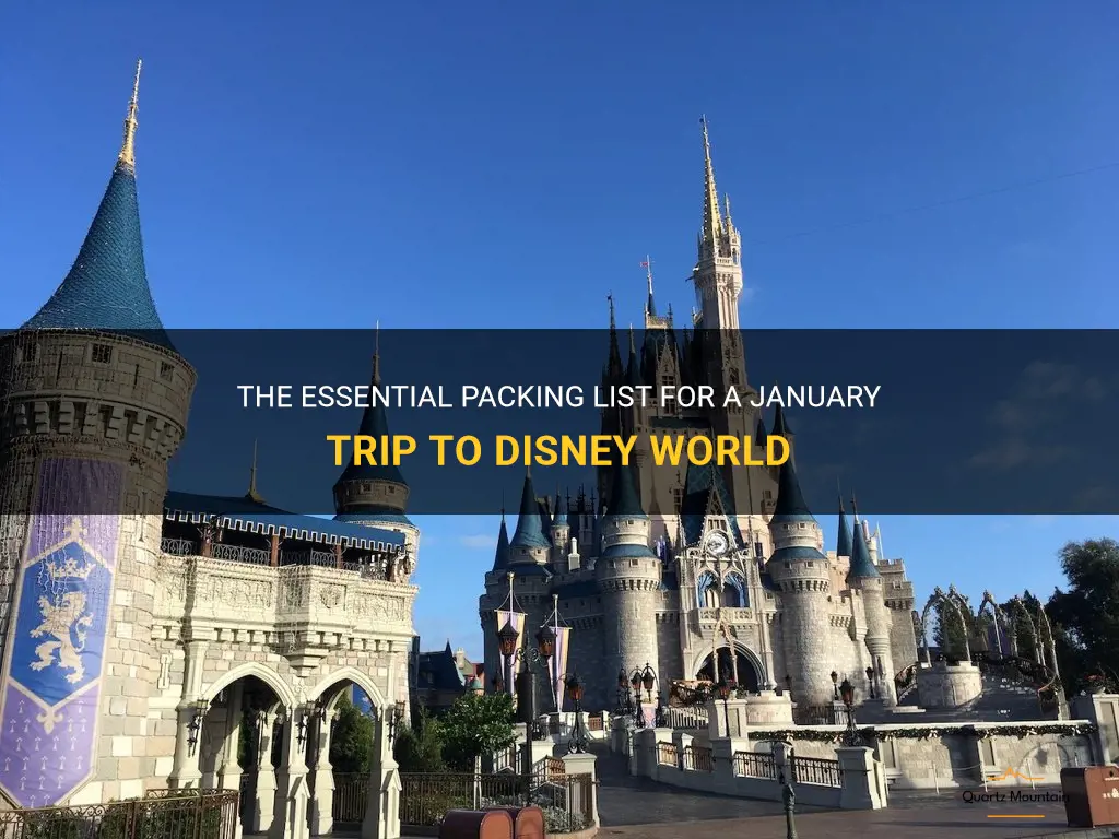 what to pack to disney world in january