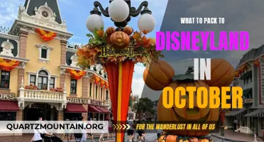 Top Must-Have Items to Pack for a Memorable October Trip to Disneyland