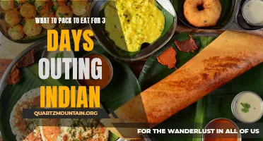 Essential Indian Foods to Pack for a 3-Day Outing