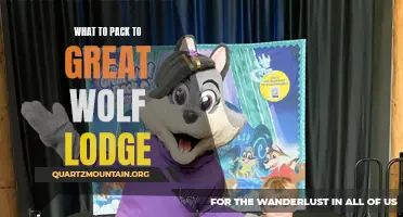 What You Need to Pack for a Great Wolf Lodge Vacation