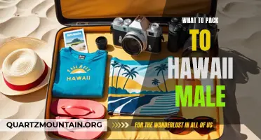 Essential Items for Male Travelers: What to Pack for a Trip to Hawaii