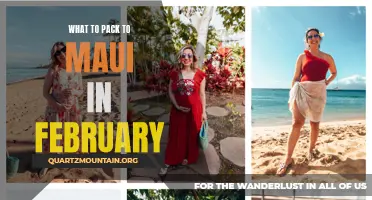 Essential Items to Pack for a February Trip to Maui