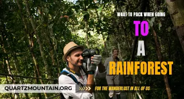 Essential Items to Pack for Your Rainforest Adventure