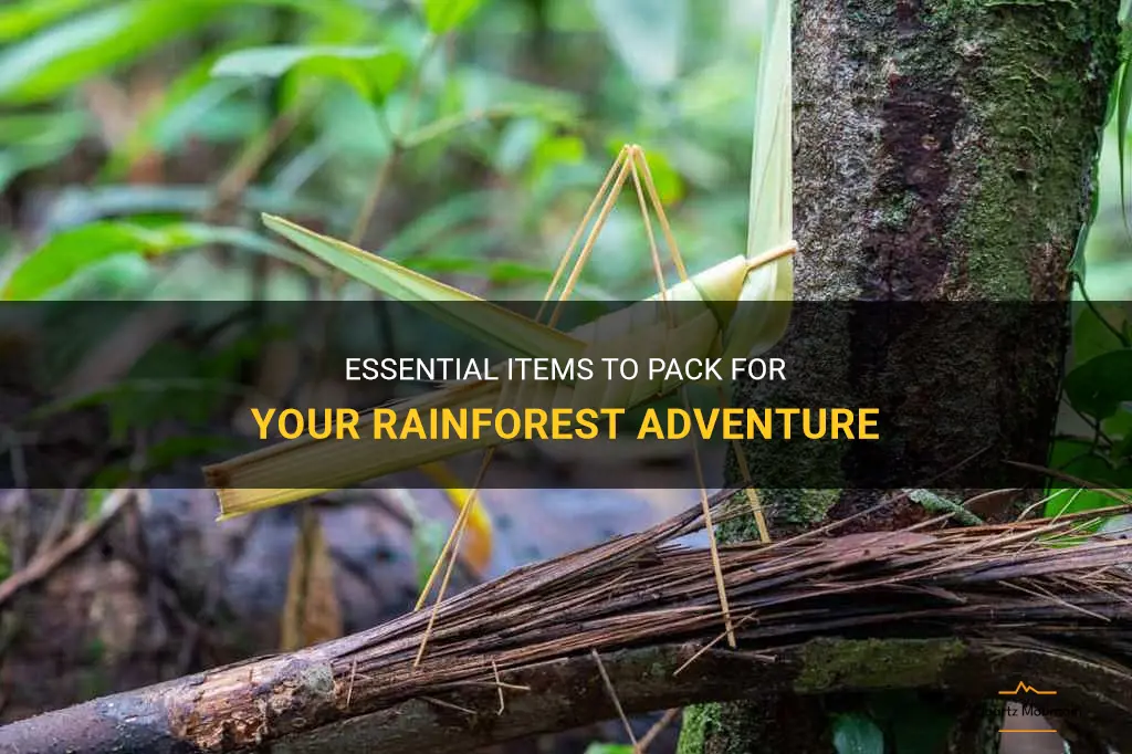 what to pack when going to a rainforest