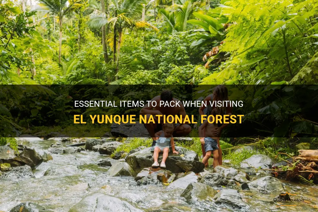 what to pack when going to el yunque