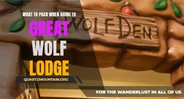 Essential Items to Pack for a Great Wolf Lodge Adventure