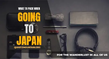 Essential Items to Pack for Your Trip to Japan