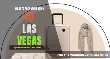 Essential Items to Pack when Traveling to Las Vegas