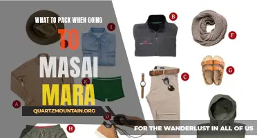 The Essential Packing Guide for an Unforgettable Trip to Masai Mara