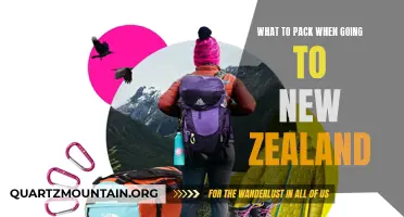 Essential Items to Pack When Traveling to New Zealand