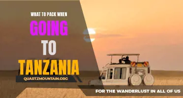 Essential Items to Pack for Your Trip to Tanzania