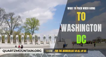 Essential Items to Pack for Your Trip to Washington DC