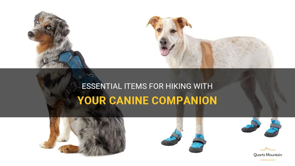 what to pack when hiking with a dog