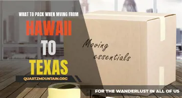 Moving from Hawaii to Texas: Essential Items to Pack