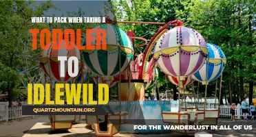 The Ultimate Toddler Packing List for a Day at Idlewild