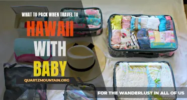 Essential Items to Pack for Traveling to Hawaii with a Baby