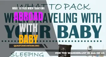 Must-Have Essentials for Traveling Abroad with Your Baby