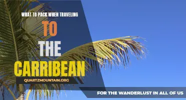 Essential Items to Pack for a Memorable Caribbean Vacation