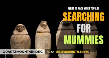 Essential Items to Pack When Embarking on a Quest for Ancient Mummies