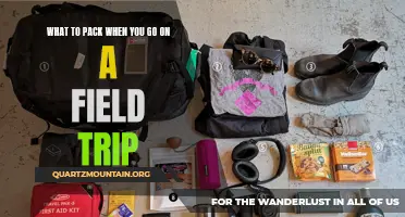 Essential Items to Pack for Your Next Field Trip
