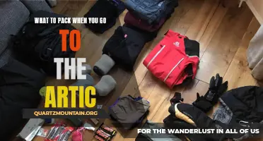 Essential Items for an Arctic Adventure: What to Pack for Your Polar Expedition