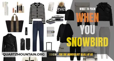 Essential Items to Pack When You Snowbird: A Comprehensive Guide
