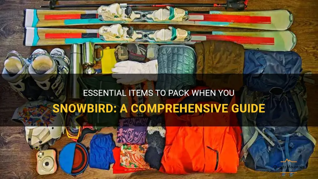 what to pack when you snowbird