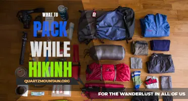 Essential Items to Pack for a Hiking Adventure