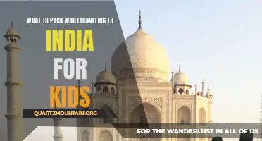 Essential items to pack for a memorable family trip to India with your kids