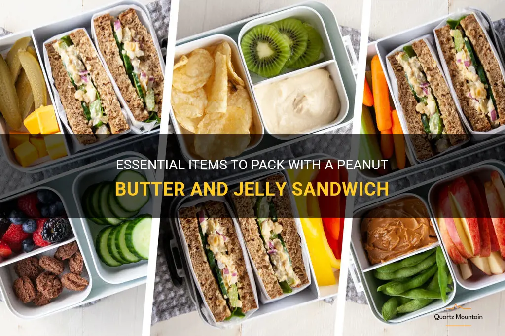 what to pack with a peanut butter and jelly sandwich