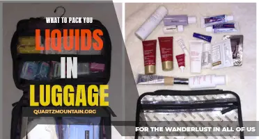 The Essential Guide to Packing Liquids in Your Luggage