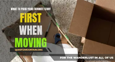 The First Things to Pack: Essentials for Moving Your Favorite Stuff