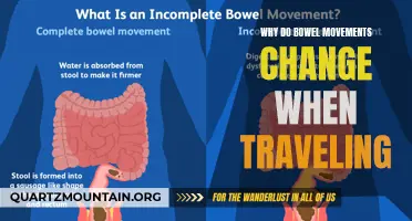 Understanding the Impact of Traveling on Bowel Movements
